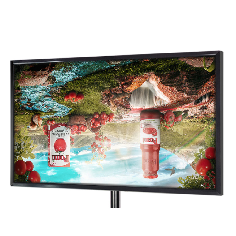 TS 430 Displays Datasheet
